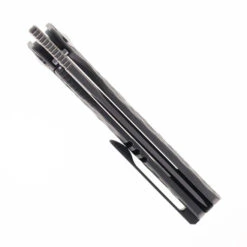 Maxace Baby Racoon Dog Folding Knife Titanium Handle M390 Blade MM31-1-B -Blades MAXACE raccoon dog mm 31 1 b 02 57772.1725562283